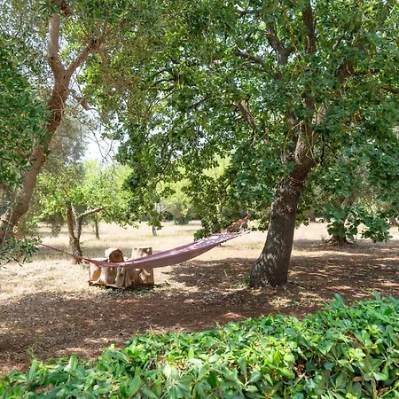 Apartament In Gianfreda